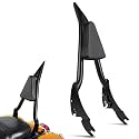 PBYMT Detachable Sissy Bar Passenger Backrest, Touring Quick Release Sissy Bar Backrest, Sissy Bar Fit for Harley Touring Street Glide Road King Road Glide Electra Glide 2009-2024 (Black, 30inch)