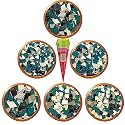 PD Craftozone 6 Different Variety Mirror Kit For Craft Work, Mud Art, Lippan Art,Fabric Art, Madala Art, Ideal For Jewellery Making (630 Pieces, 105 Each) With Fabric Glue Cone (Combo Of 6),Green