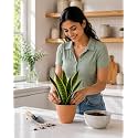 Peach Plastic Flower Pot for Indoor amp