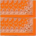 The Peacock Crew Premium Soft Cotton Bandanas Pack for Men and Women Paisley 22 x 22 inches