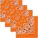 The Peacock Crew Premium Soft Cotton Bandanas Pack for Men and Women Paisley 22 x 22 inches