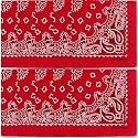 The Peacock Crew Premium Soft Cotton Bandanas Pack for Men and Women Paisley 22 x 22 inches