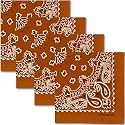 The Peacock Crew Premium Soft Cotton Bandanas Pack for Men and Women Paisley 22 x 22 inches