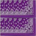 The Peacock Crew Premium Soft Cotton Bandanas Pack for Men and Women Paisley 22 x 22 inches