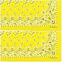 The Peacock Crew Premium Soft Cotton Bandanas Pack for Men and Women Paisley 22 x 22 inches