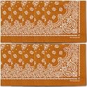 The Peacock Crew Premium Soft Cotton Bandanas Pack for Men and Women Paisley 22 x 22 inches