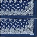 The Peacock Crew Premium Soft Cotton Bandanas Pack for Men and Women Paisley 22 x 22 inches