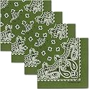 The Peacock Crew Premium Soft Cotton Bandanas Pack for Men and Women Paisley 22 x 22 inches