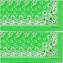 The Peacock Crew Premium Soft Cotton Bandanas Pack for Men and Women Paisley 22 x 22 inches