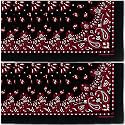 The Peacock Crew Premium Soft Cotton Bandanas Pack for Men and Women Paisley 22 x 22 inches