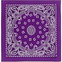 The Peacock Crew Premium Soft Cotton Designer Bandana for Men and Women 22x22 in