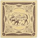 The Peacock Crew Premium Soft Cotton Designer Bandana for Men and Women 22x22 in