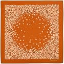 The Peacock Crew Premium Soft Cotton Designer Bandana for Men and Women 22x22 in
