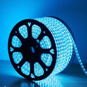 Peafowl Wholesale 1200 LEDs 10.16 m Transparent