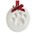 Pearhead Pet Paw Prints Dog or Cat Paw Print Hanging DIY Keepsake, Holiday, Plastic Polyethylene Terephthalate