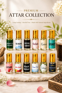 THE PEARLS STUDIO 12 in 1 Premium