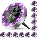 Peasur Solar Ground Lights Outdoor, 12 Pack Flat Solar Powered Disc Lights, IP68 Waterproof, Anti-Rust, Landscape Lighting for Pathway Garden Yard Lawn Walkway Landscape Driveway, Purple