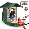 PeckCam® Bird Feeder with Camera Solar Powered 2K Live Video Auto Capture