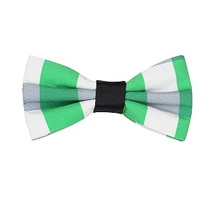 peluche sassy green bow tie for men
