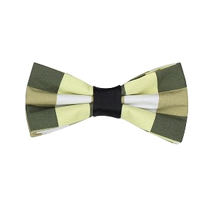 peluche sassy green bow tie for men