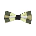 Peluche Sassy Green Bow Tie For Men