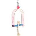 PENN-PLAX Bird Life Cement &amp; Acrylic Swing – Great for Parakeets, Lovebirds, Parrotlets, Canaries, Finches, and Other Small Birds – Small – Assorted Colors
