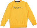 Pepe Jeans Boys Full Sleeve Printed Sweatshirt