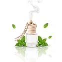 Peppermint Car Air Freshener Hanging Diffuser