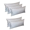 Perfect Sleeper Rectangular 12X24 Inches Cushion, Set of 5, Amanat Microfiber Hotel Quality Premium Fibre Soft Cushion, Pillow Filler, White