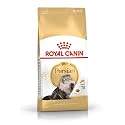Royal Canin Persian Adult Cat Dry Food, 1 kg