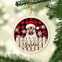 Personalized Chicken Ornament, Chicken Christmas Ornament, Custom Name Ornaments, Chickens Farm Christmas Tree Ornaments - A3