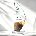 Personalized Crystal Trophy Award, Custom Awards and Trophies with Logo Photo Text, Teacher &amp; Employee Appreciation Gifts, Custom Plaque for Boss Coworker Teacher, Trophy Bulk