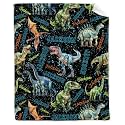 Personalized Dinosaurs Blanket Gift for Boy Girl,Custom Dinosaur Blanket