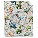 Personalized Dinosaurs Blanket Gift for Boy Girl,Custom Dinosaur Blanket