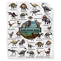 Personalized Dinosaurs Blanket Gift for Boy Girl,Custom Dinosaur Blanket