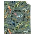 Personalized Dinosaurs Blanket Gift for Boy Girl,Custom Dinosaur Blanket