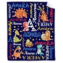 Personalized Dinosaurs Blanket Gift for Boy Girl,Custom Dinosaur Blanket