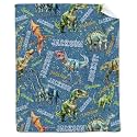 Personalized Dinosaurs Blanket Gift for Boy Girl,Custom Dinosaur Blanket
