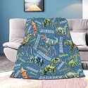 Personalized Dinosaurs Blanket Gift for Boy Girl,Custom Dinosaur Blanket