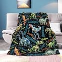 Personalized Dinosaurs Blanket Gift for Boy Girl,Custom Dinosaur Blanket