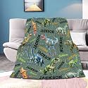 Personalized Dinosaurs Blanket Gift for Boy Girl,Custom Dinosaur Blanket