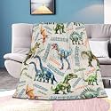 Personalized Dinosaurs Blanket Gift for Boy Girl,Custom Dinosaur Blanket