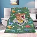 Personalized Dinosaurs Blanket Gift for Boy Girl,Custom Dinosaur Blanket