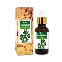 Salvia Peru Balsam Oil Myroxylon pereirae 100