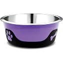 Dog Bowls Thermocool Insulated Stainless Steel, Non Slip, No Spill Insulated Dog Bowl, Keeps Food Warm &amp; Water Cold for Dogs and Cats, Purple 8oz 240 ML, Extra Small