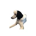 Pet Hoodz PHLBLA Pet Hoodies, Black - Large