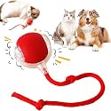Interactive Cat &amp; Dog Pet Ball Toy, Automatic Rolling Ball, Red, 10cm