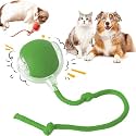 Pet Intelligent Rolling, Interactive Cat Toys, Activity Rolling Ball for Dogs, Motion Activated Automatic Moving, Electric Cat Toy Ball Rechargeable for Large Small Dogs (Green)