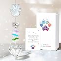 Pet Memorial Gifts for Loss of Dog or Cat, Paw Print Crystal Suncatcher