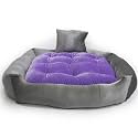 Pet Royale Extra Large Dog Bed | Reversible Dog Bed for Extra Large Dogs | Plus Extra Removable 100% Cotton Washable Covers (for Extra Large Sized Dogs, Super Purple)